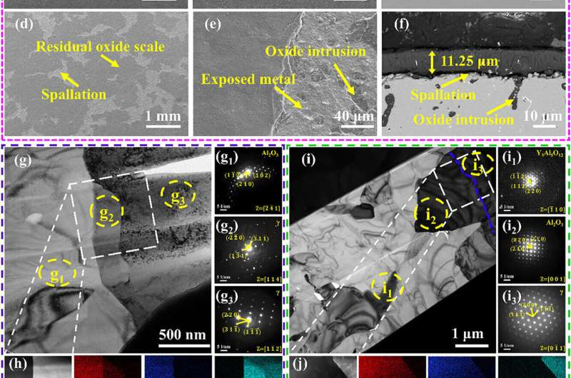 Comparison of oxide layer morphologies between new MPEA and traditional MCrAlY after oxidation at 1200°C for 500h