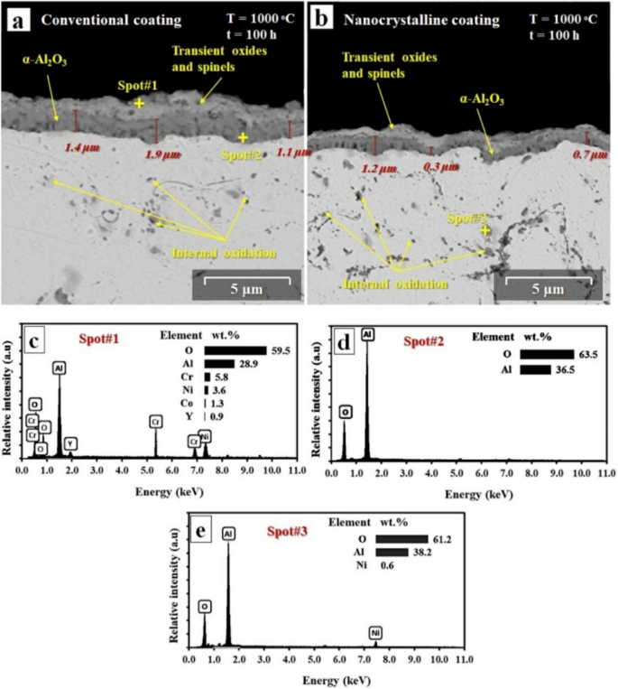Cross-section and composition analysis of MCrAlY coatings after isothermal oxidation at 1000°C for 100 hours