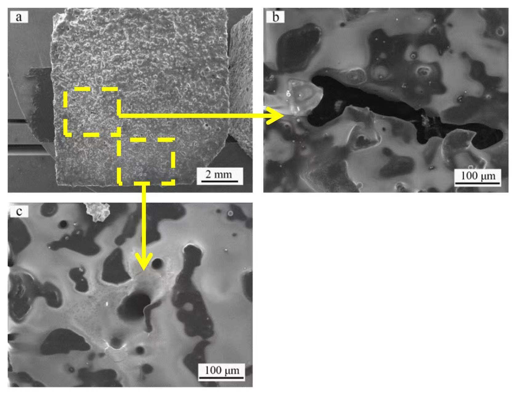 Micro-crack, pore, and spallation morphologies of C/C composite SiC ceramic coating oxidation failure