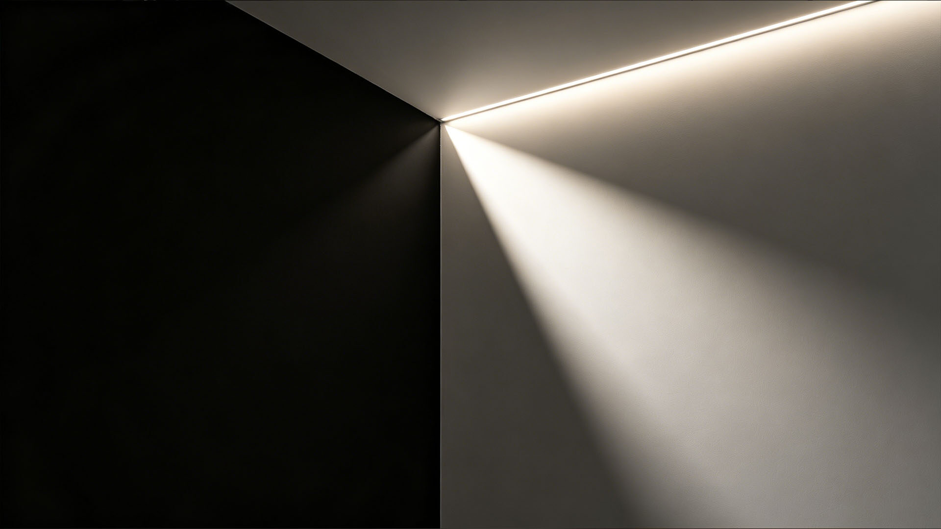 Dialogue of Light & Shadow