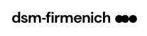 DSM (Netherlands)