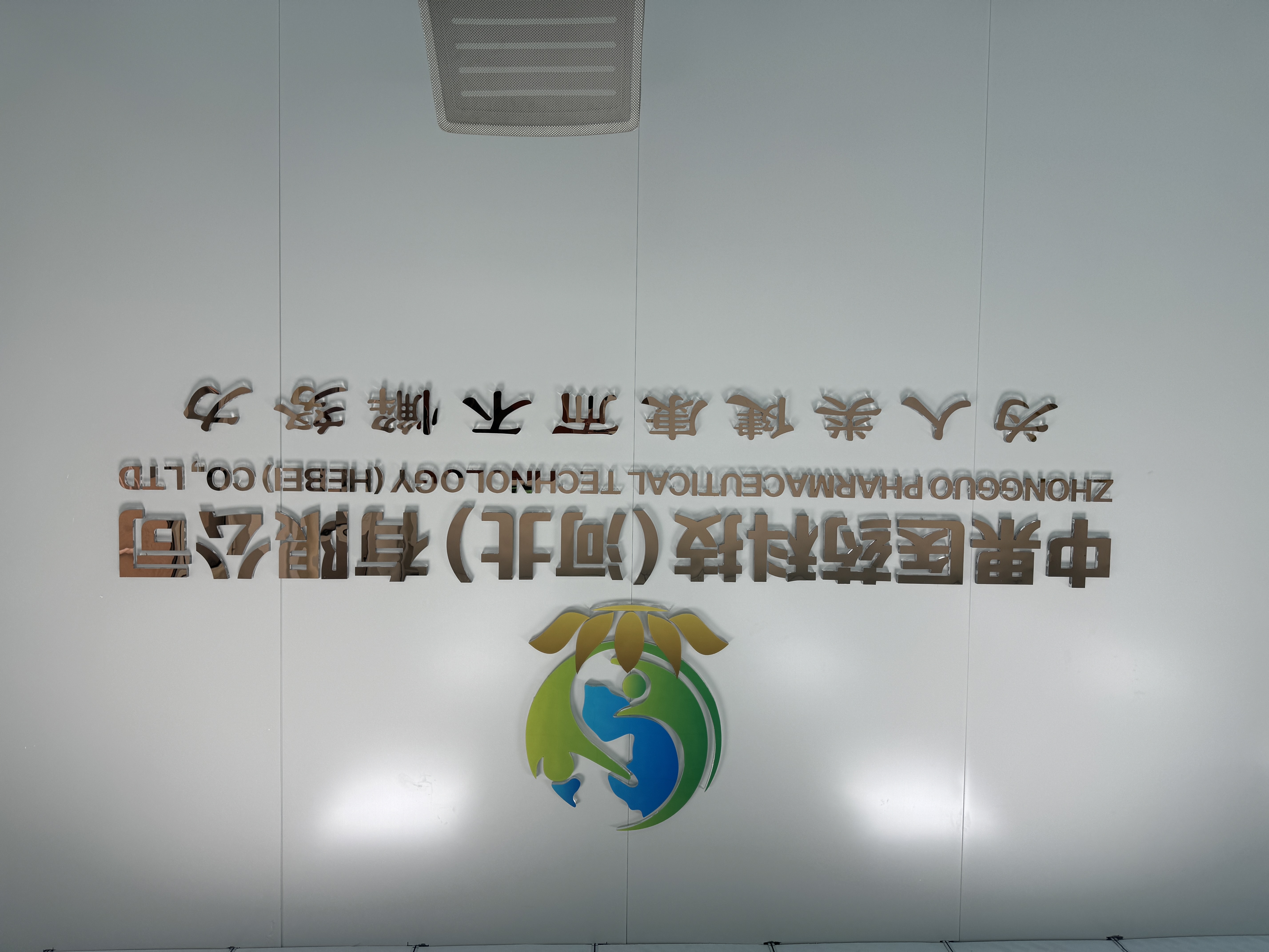 Zhongguo Pharmaceutical Technology (Hebei) Co., Ltd.