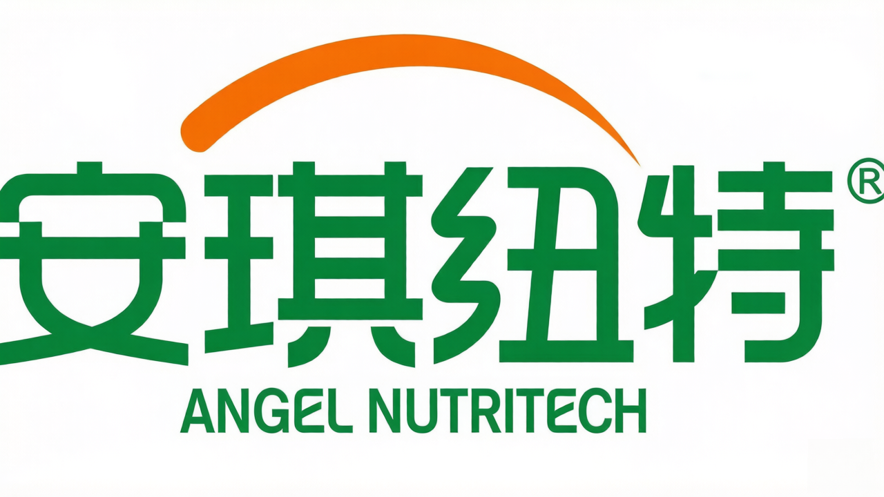 Anqi Nut Company Limited