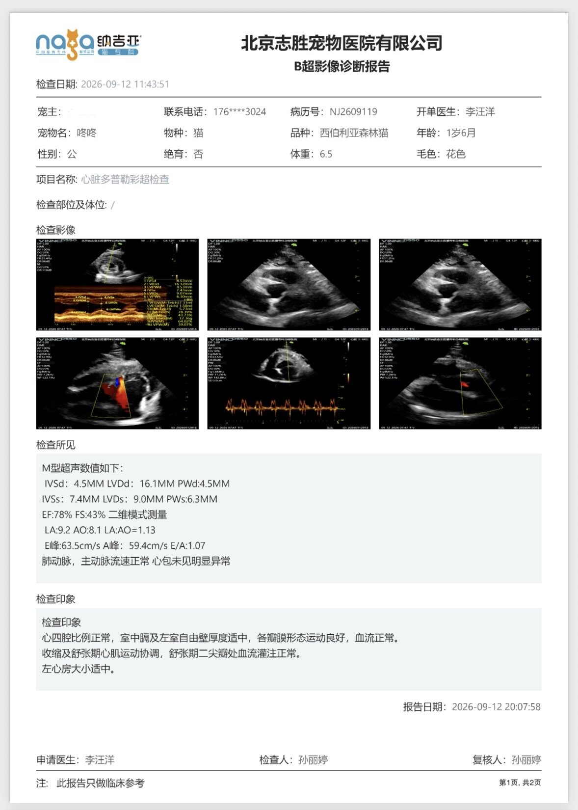 Physical Examination Report