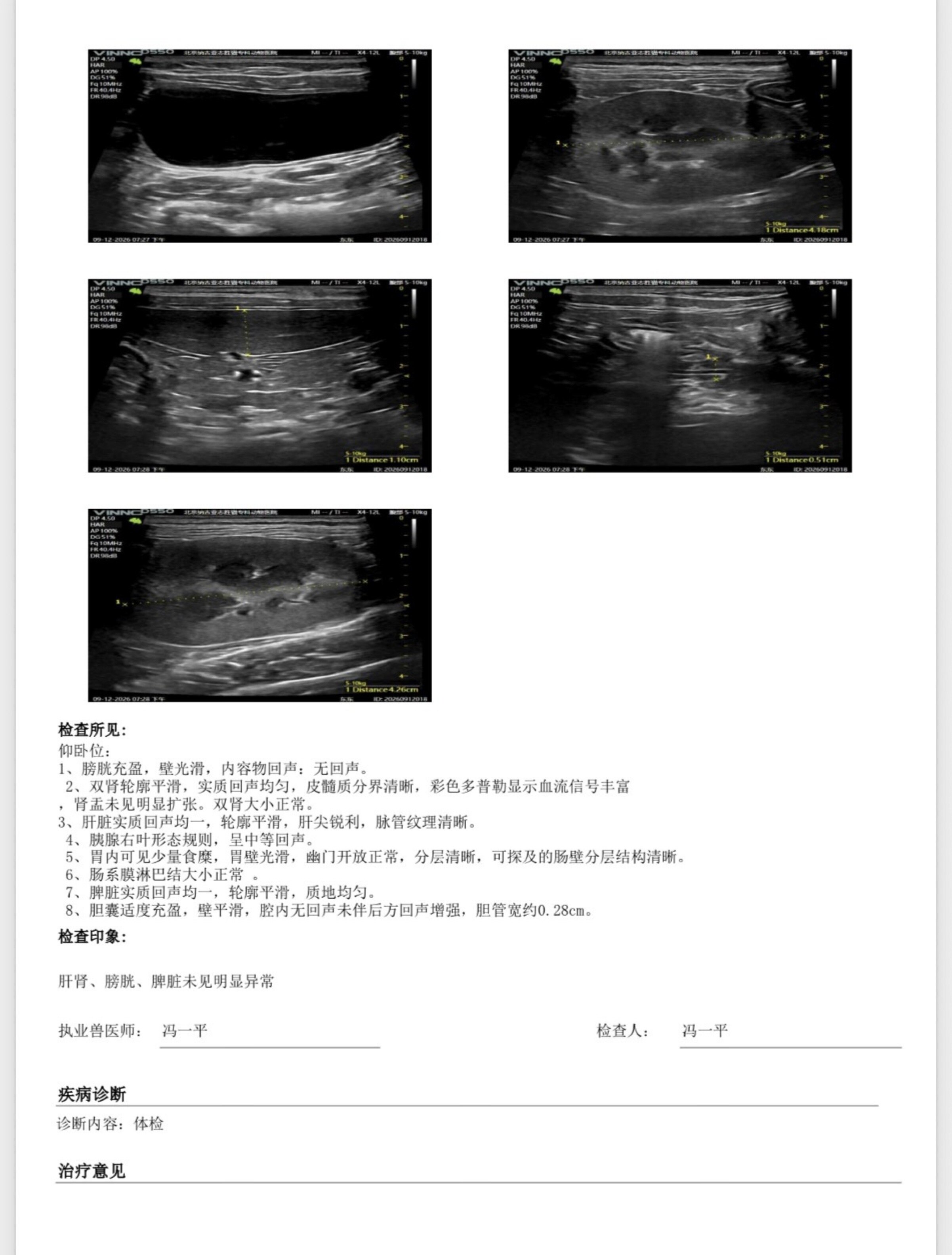 Physical Examination Report