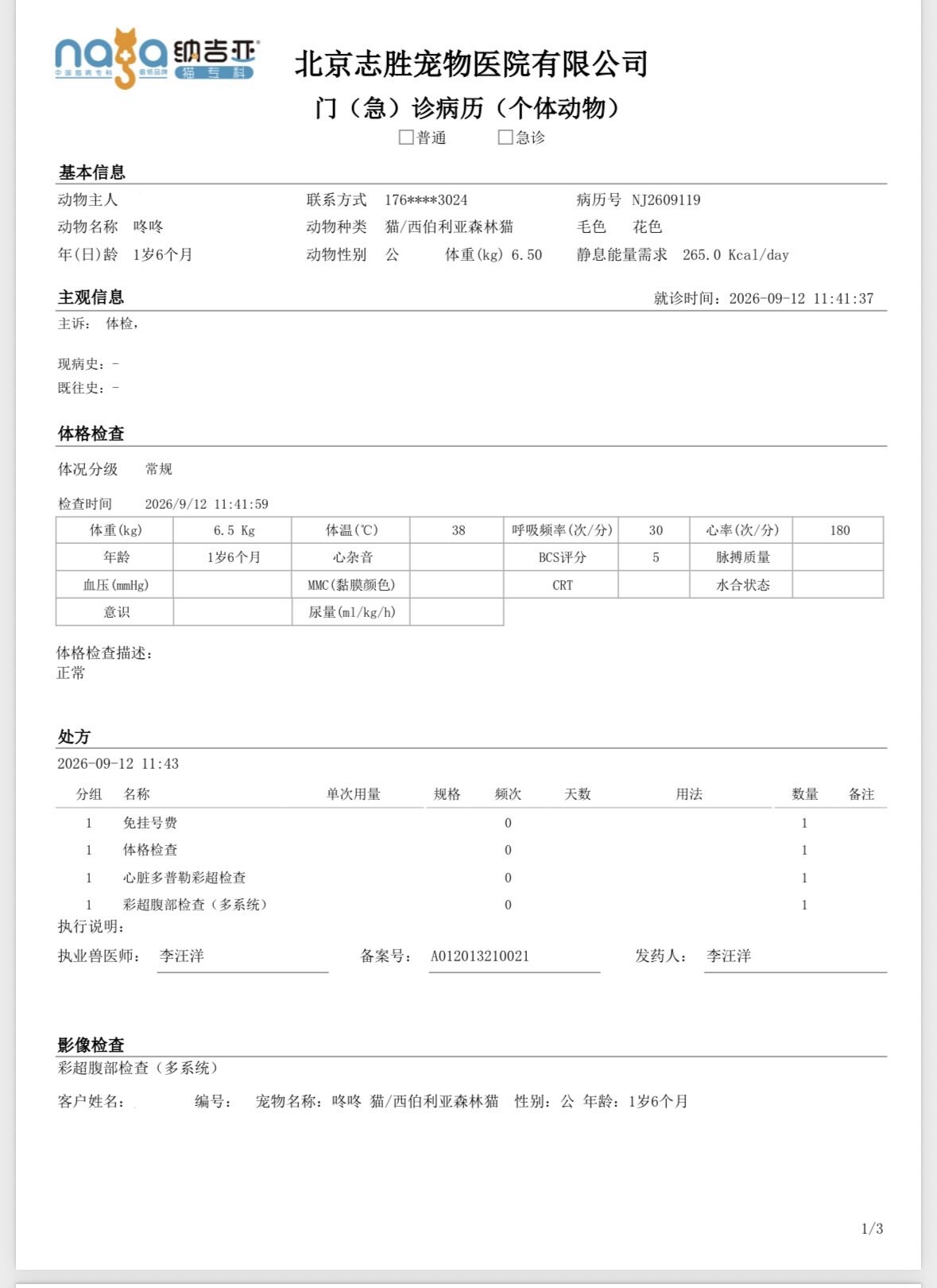 Physical Examination Report