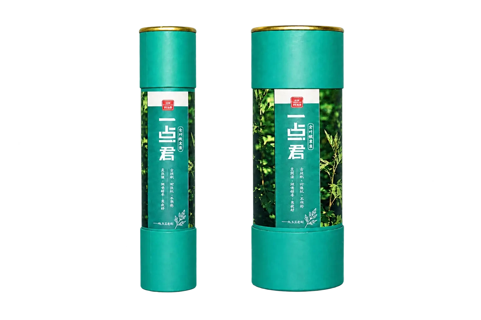 一点君真艾柱