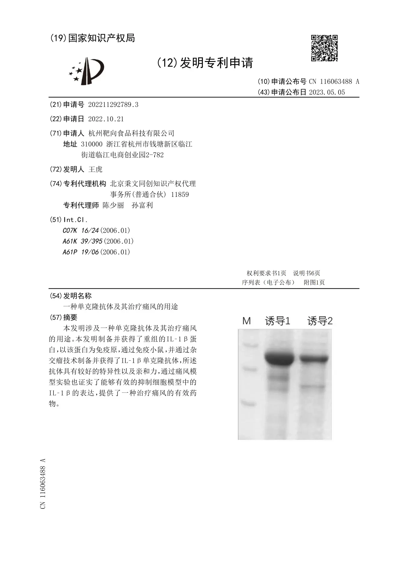 一种单克隆抗体及其治疗痛风的用途(CN116063488A 申请公布)文件
