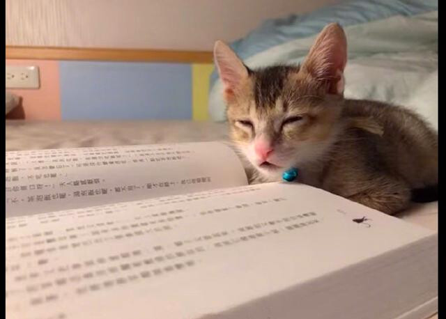 我们收到了上百位家长的来信,这是其中5个关于"选择"的故事