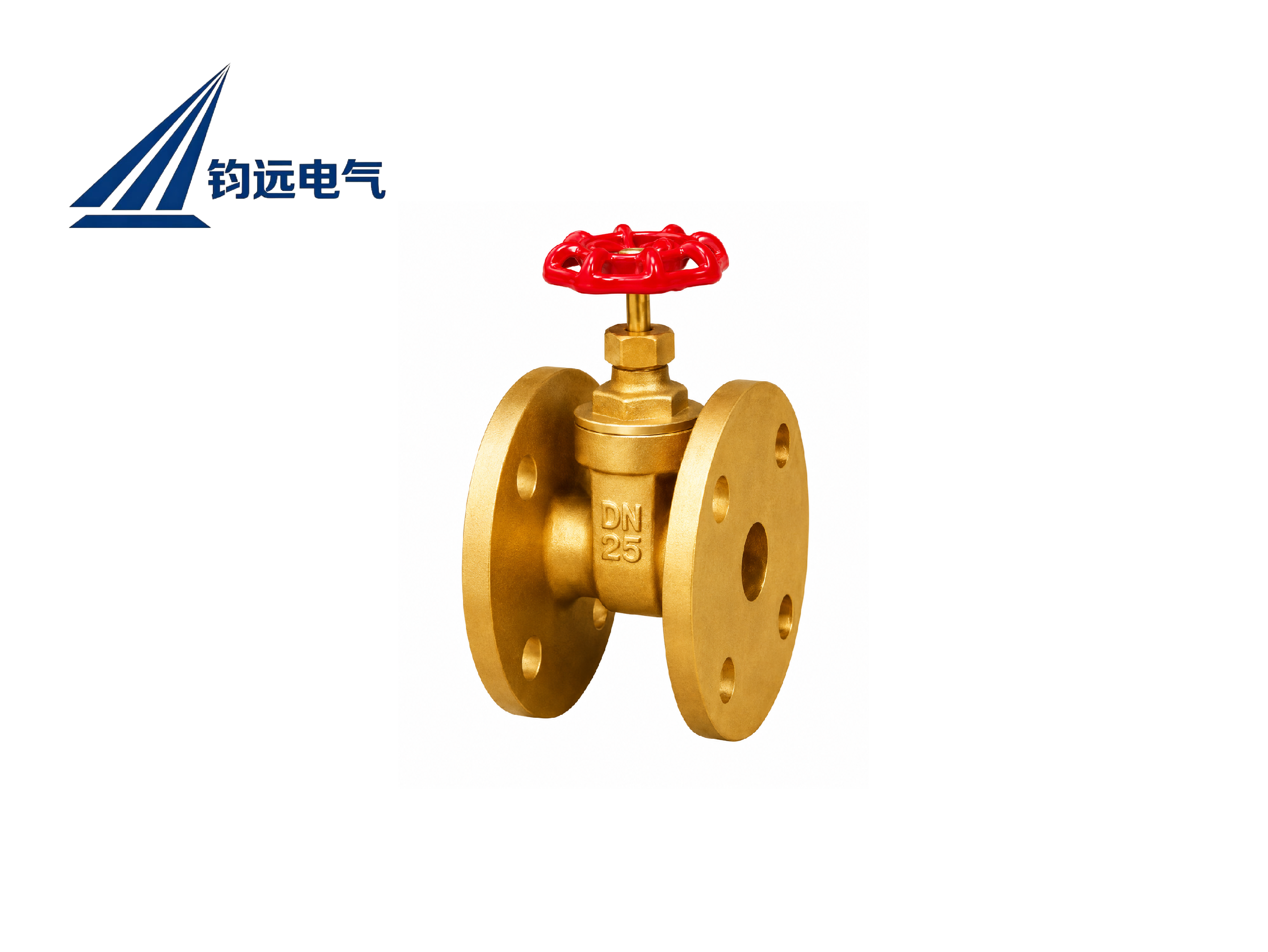 Brass Flanged Gate Valve DN32 (Siemens Exclusive)