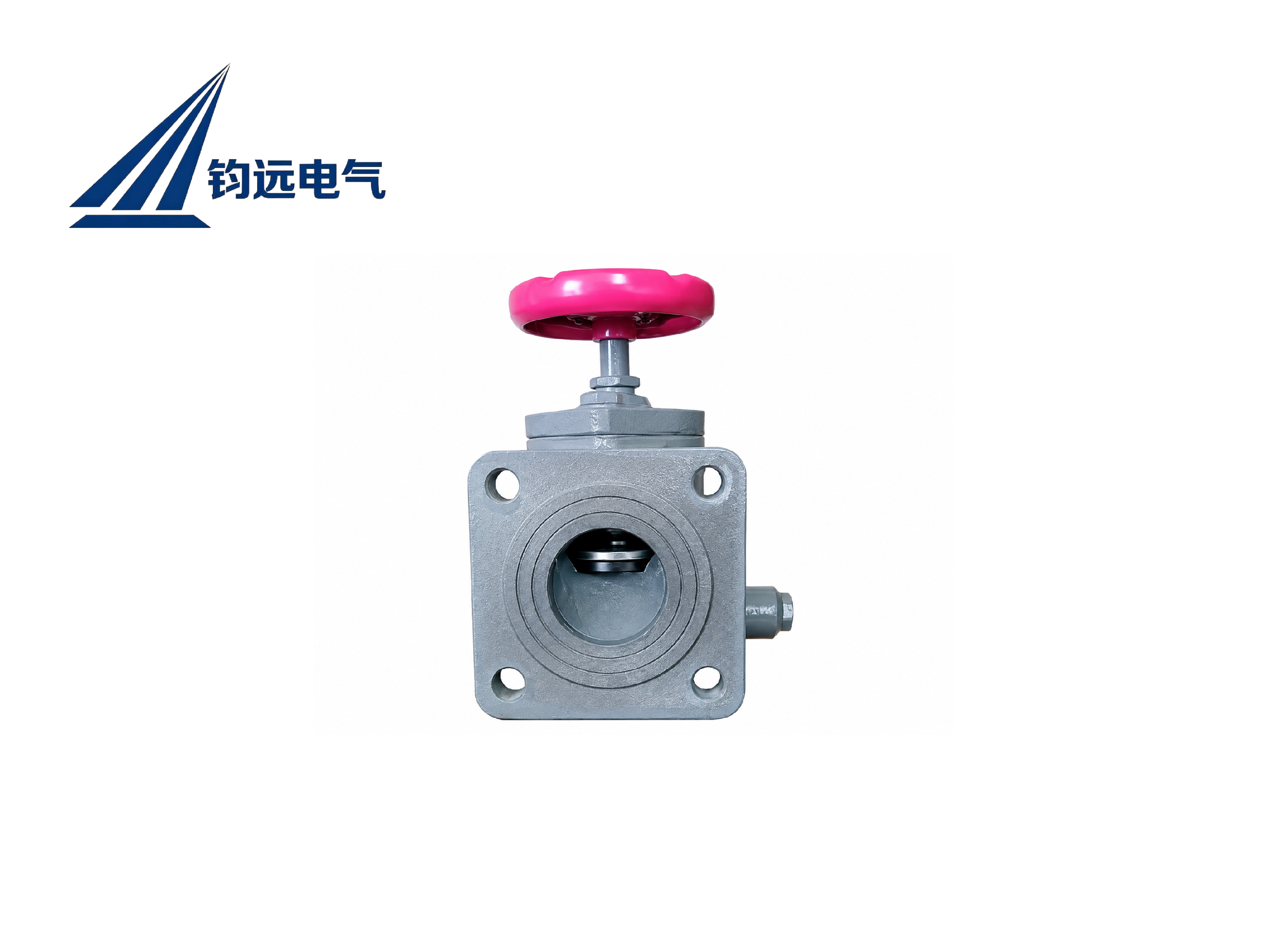 Cast Iron Gate Valve