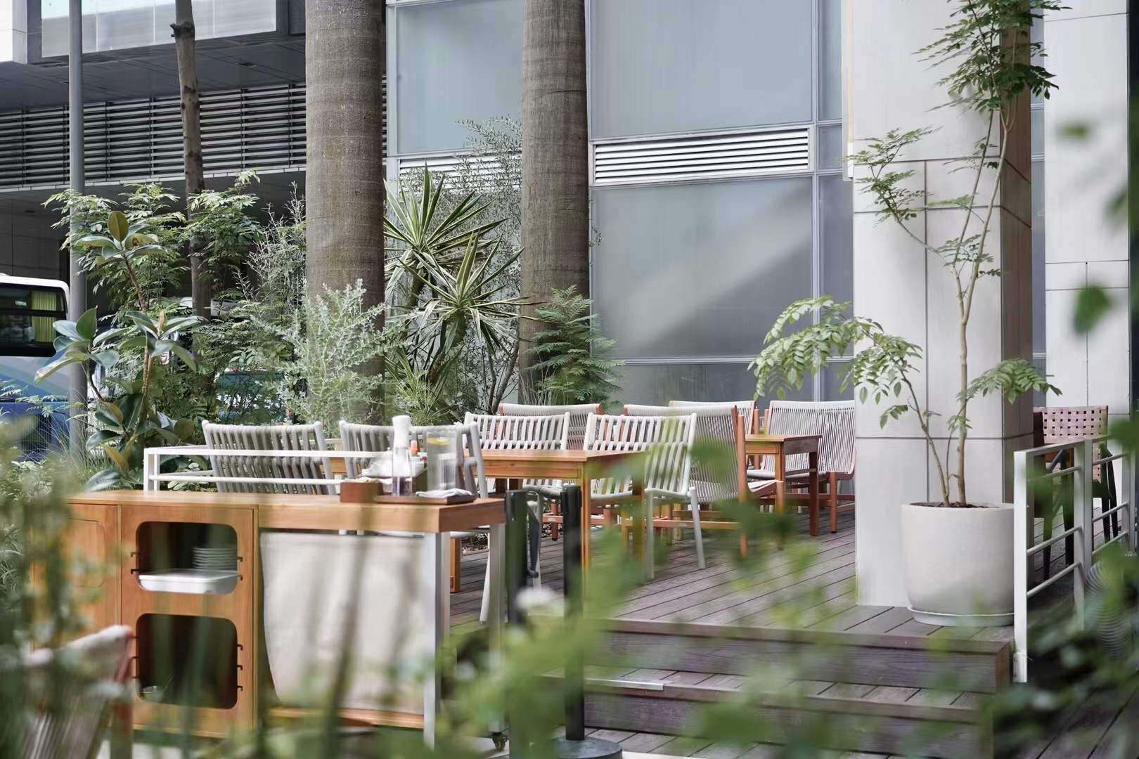 Eleatery Elephant 3