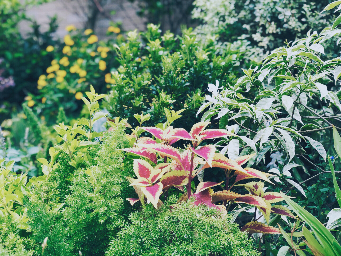 Yilongwan Private Garden 5