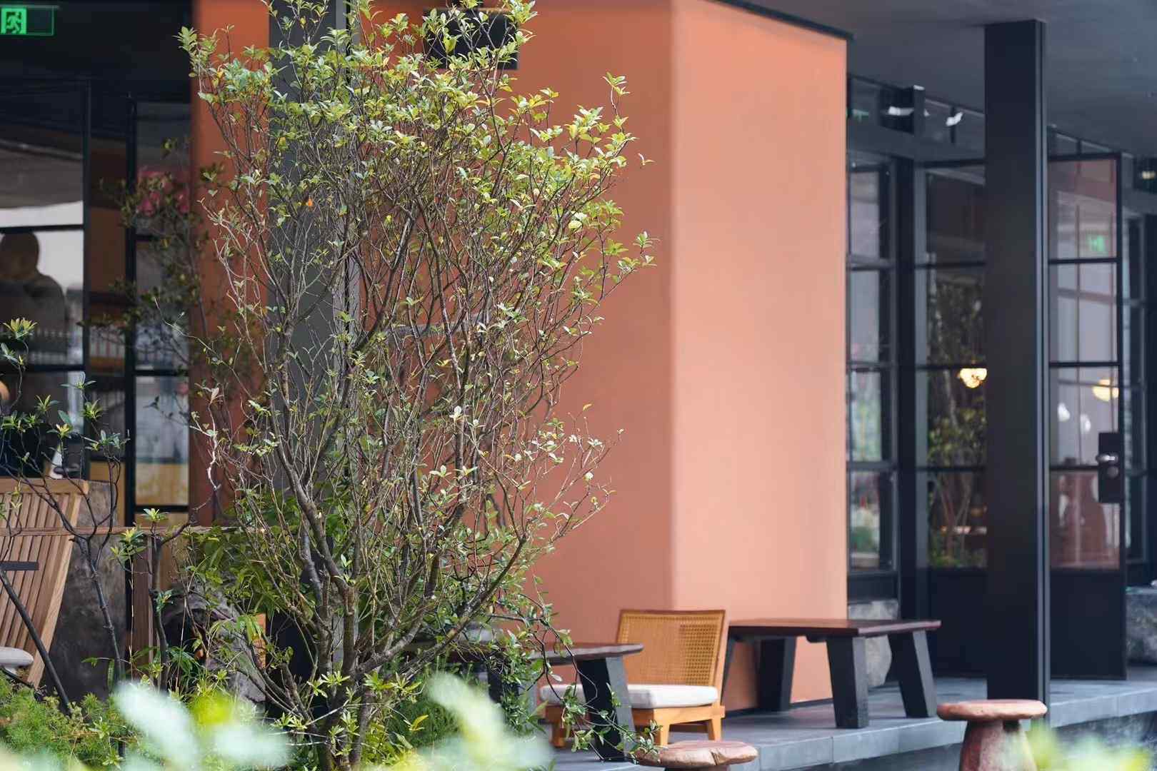 inBox Japanese Dining Collection 2