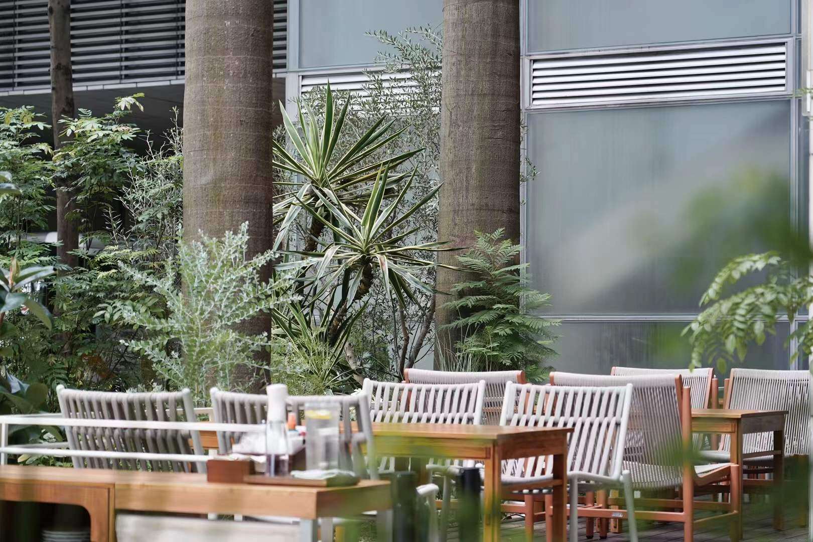 Eleatery Elephant 4