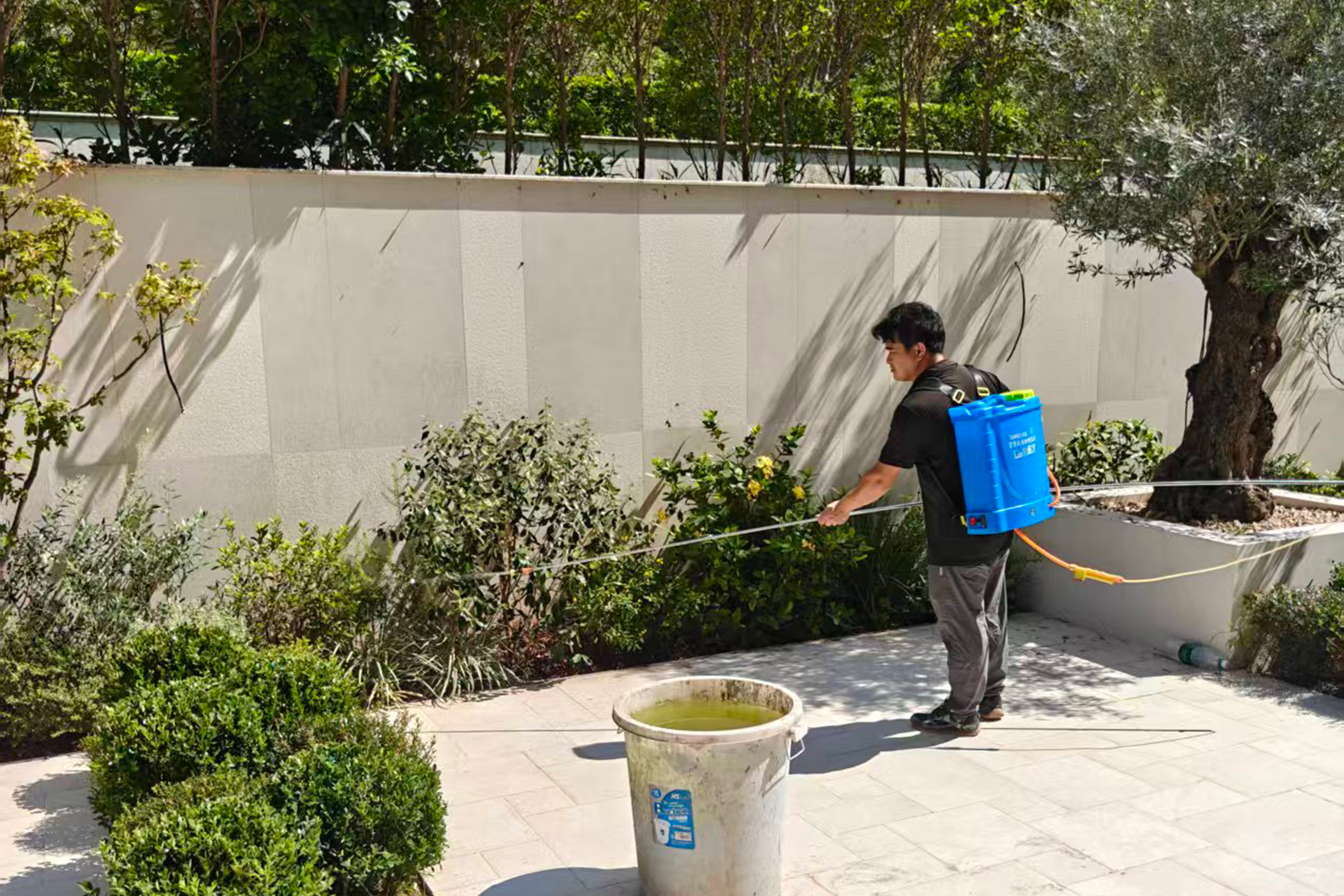 Landscaping and Maintenance