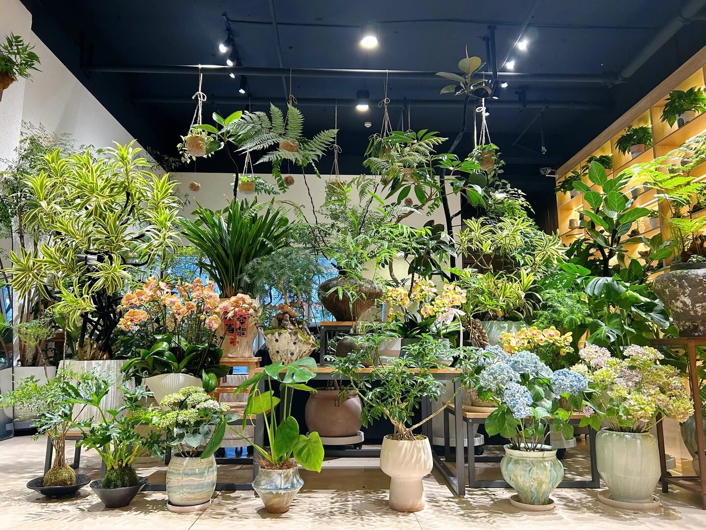 Retail of potted plants and fresh flowers