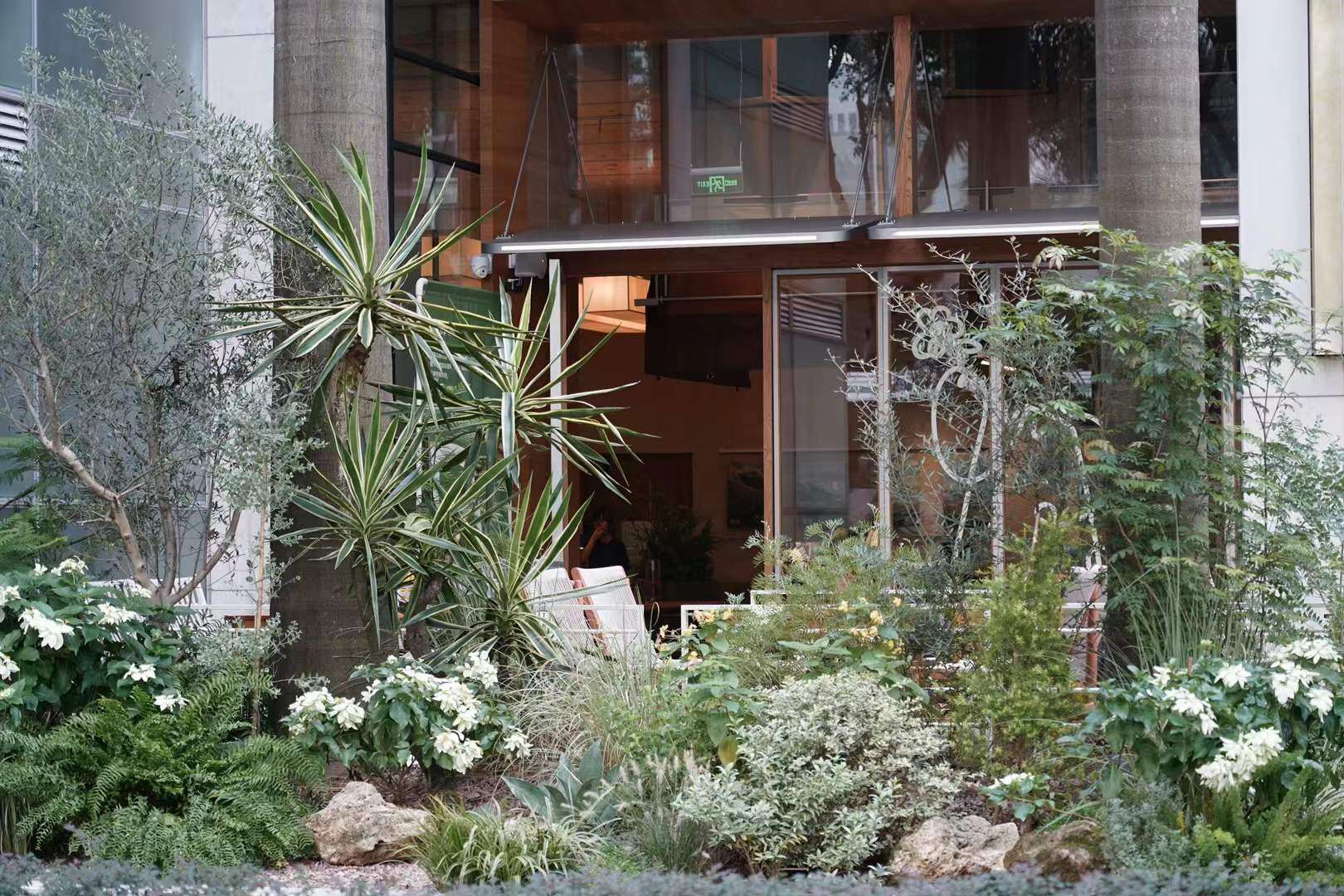 Eleatery Elephant 5
