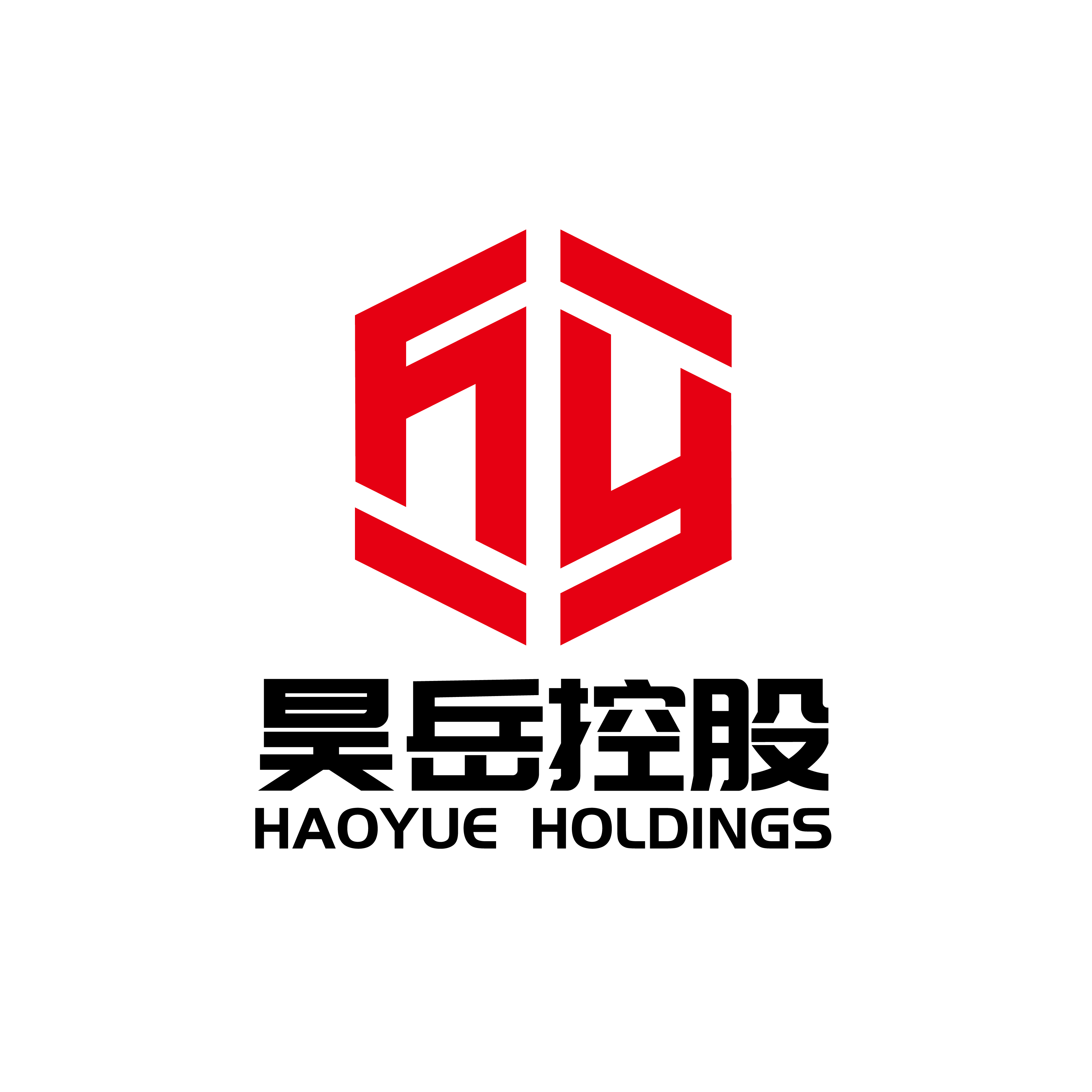 昊岳控股 Logo