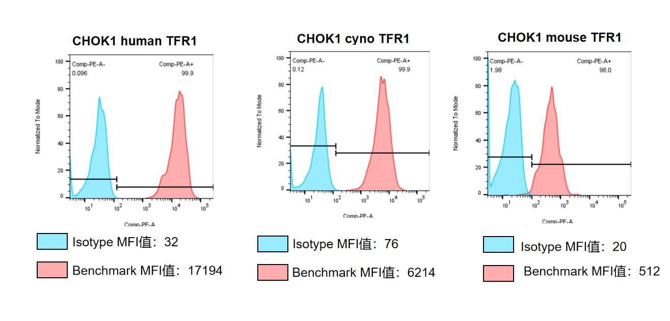 CHOK1-mouse-TFR1 细胞株