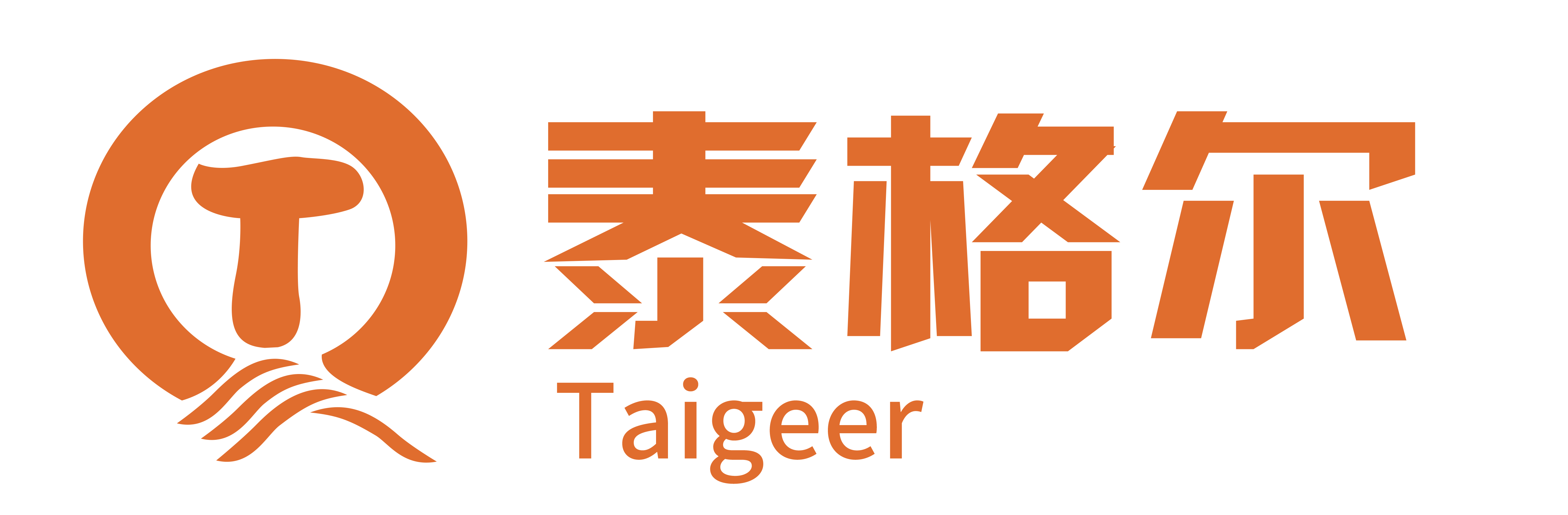 Taigeer Logo