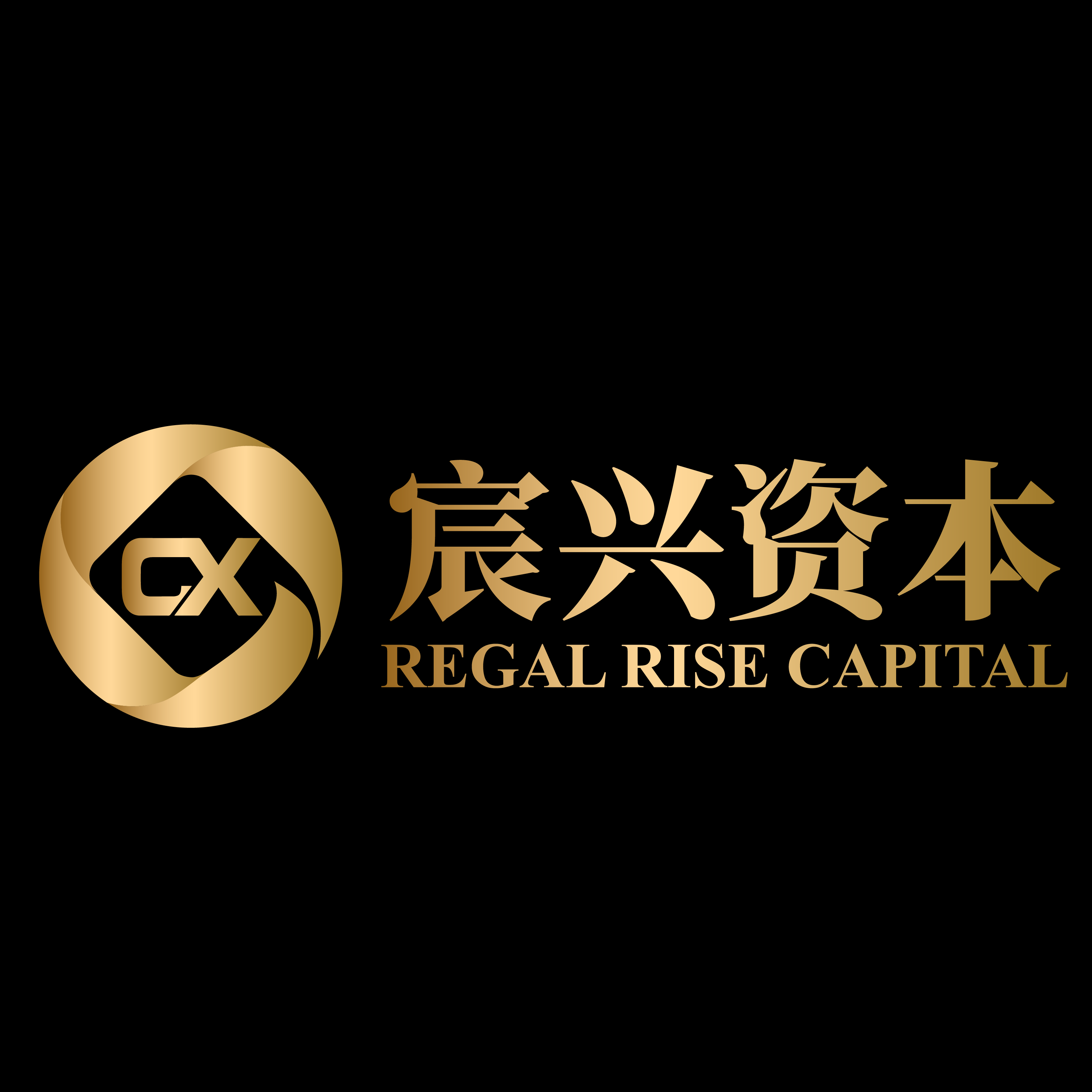 宸兴资本 Logo