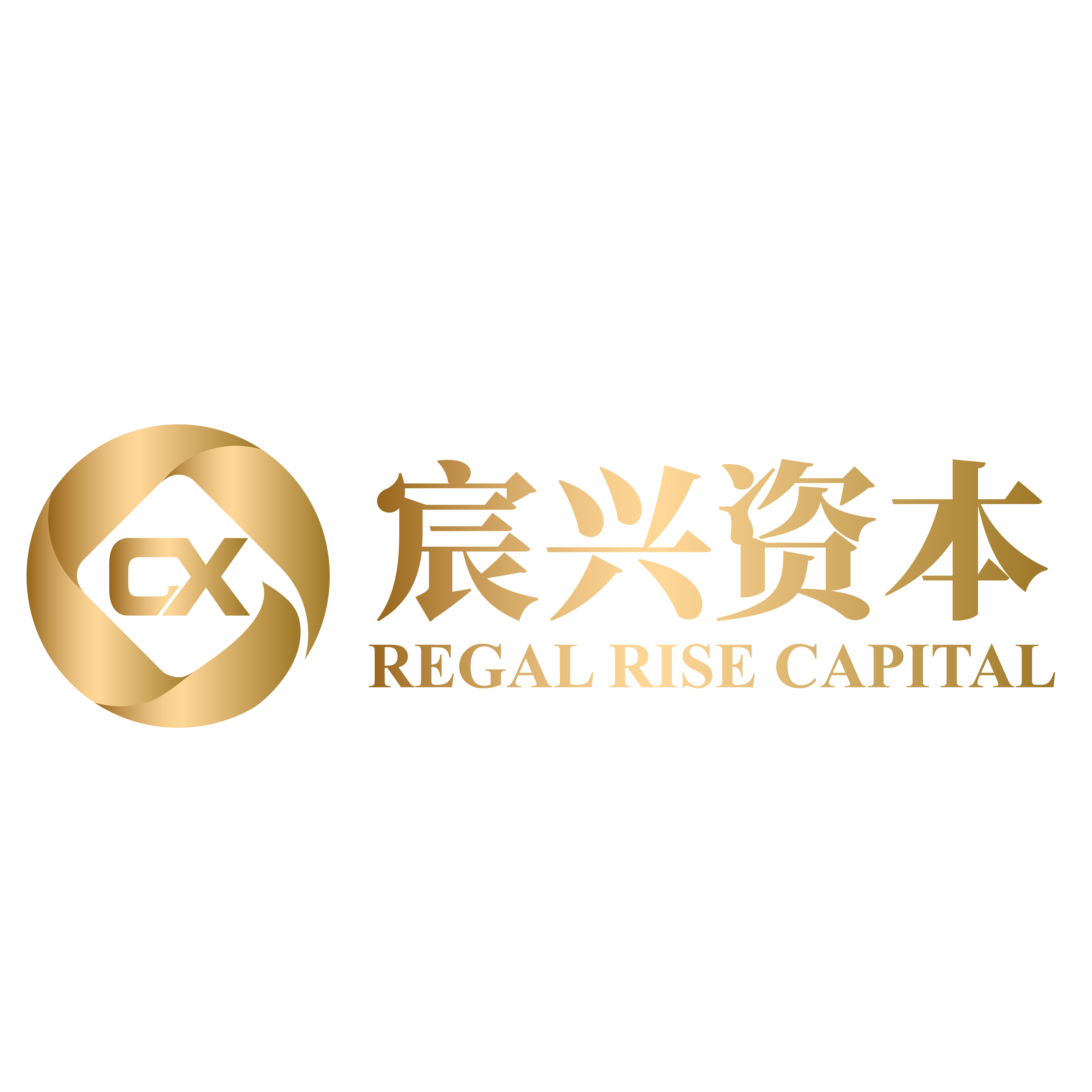 宸兴资本 Logo