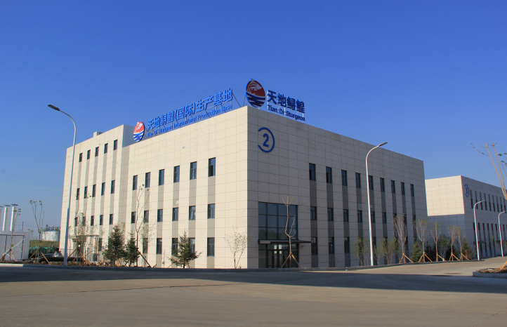 Company Profile