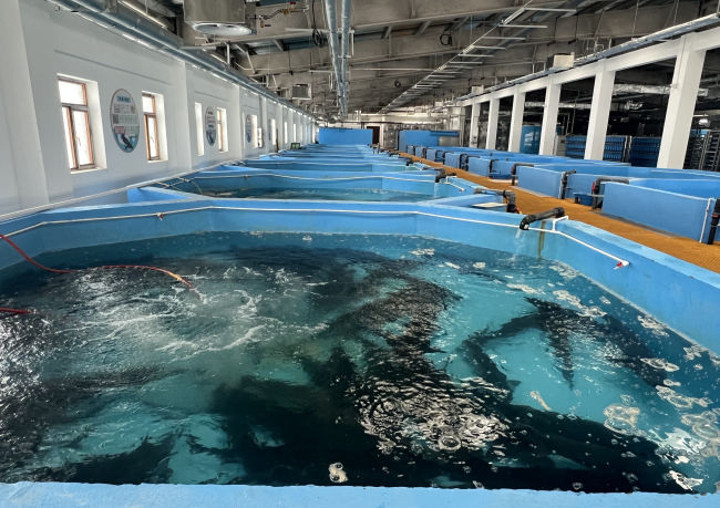 Panoramic View of Breeding Base