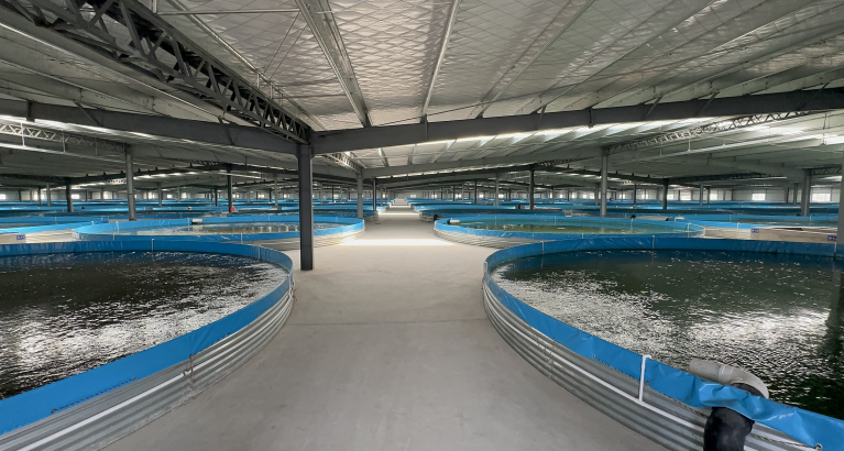 Aquaculture Processing