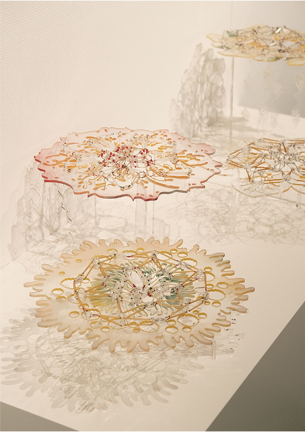 Chen Limin