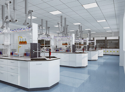 Lab