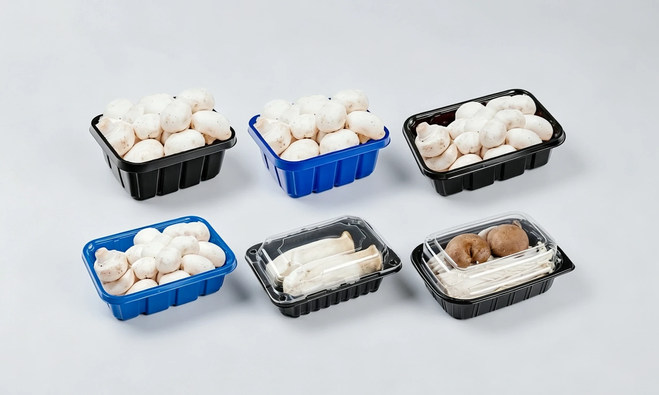 PET Container