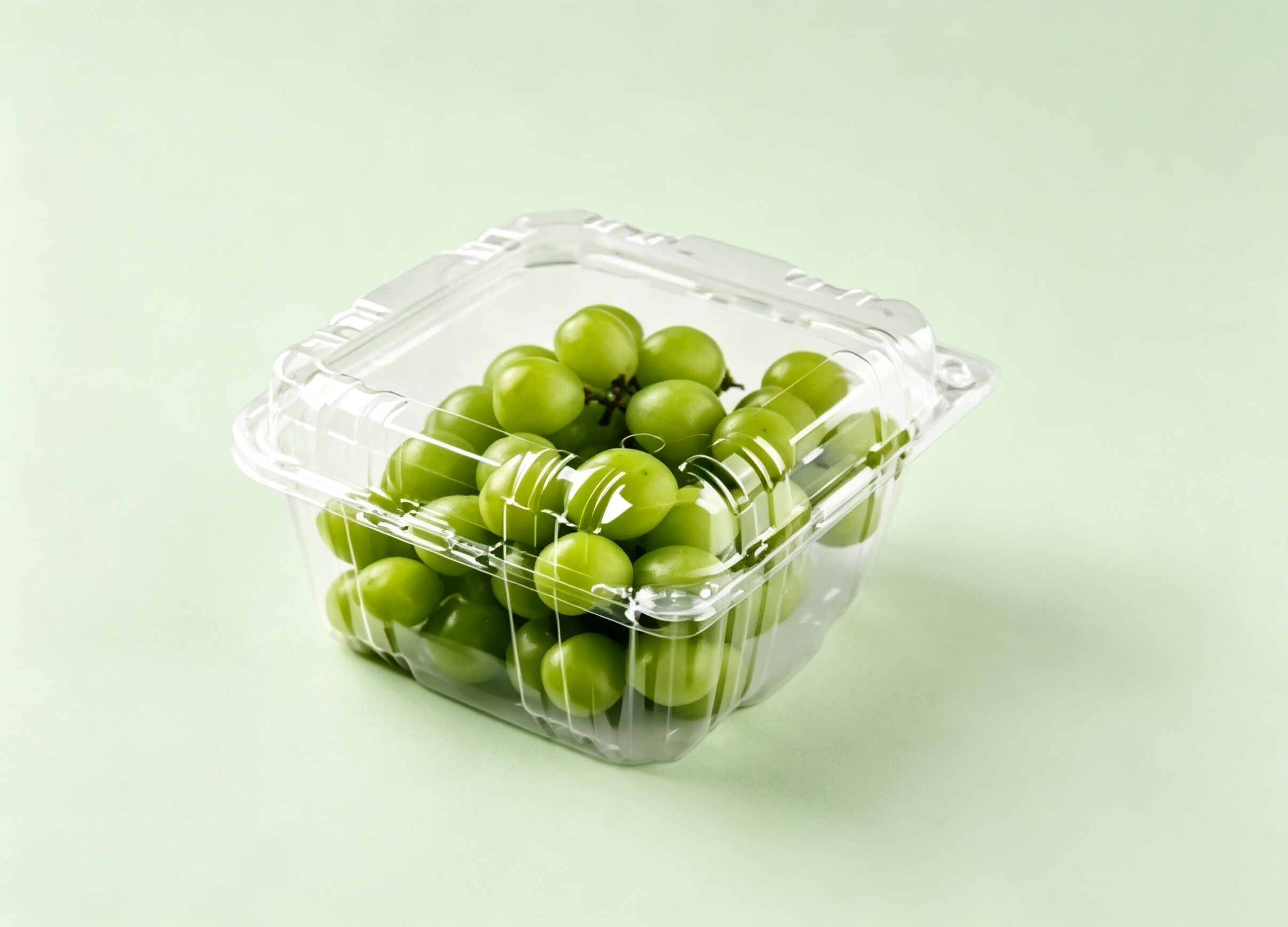 2L Container