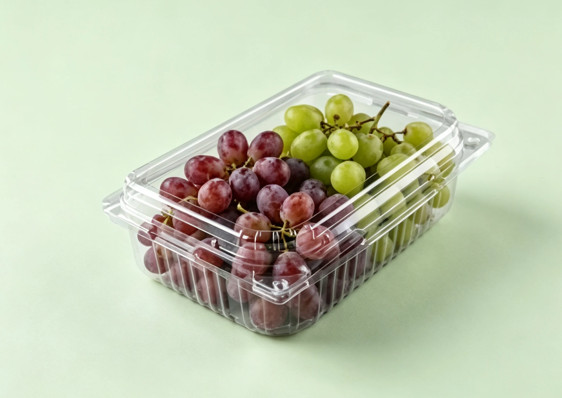 3L Container B type