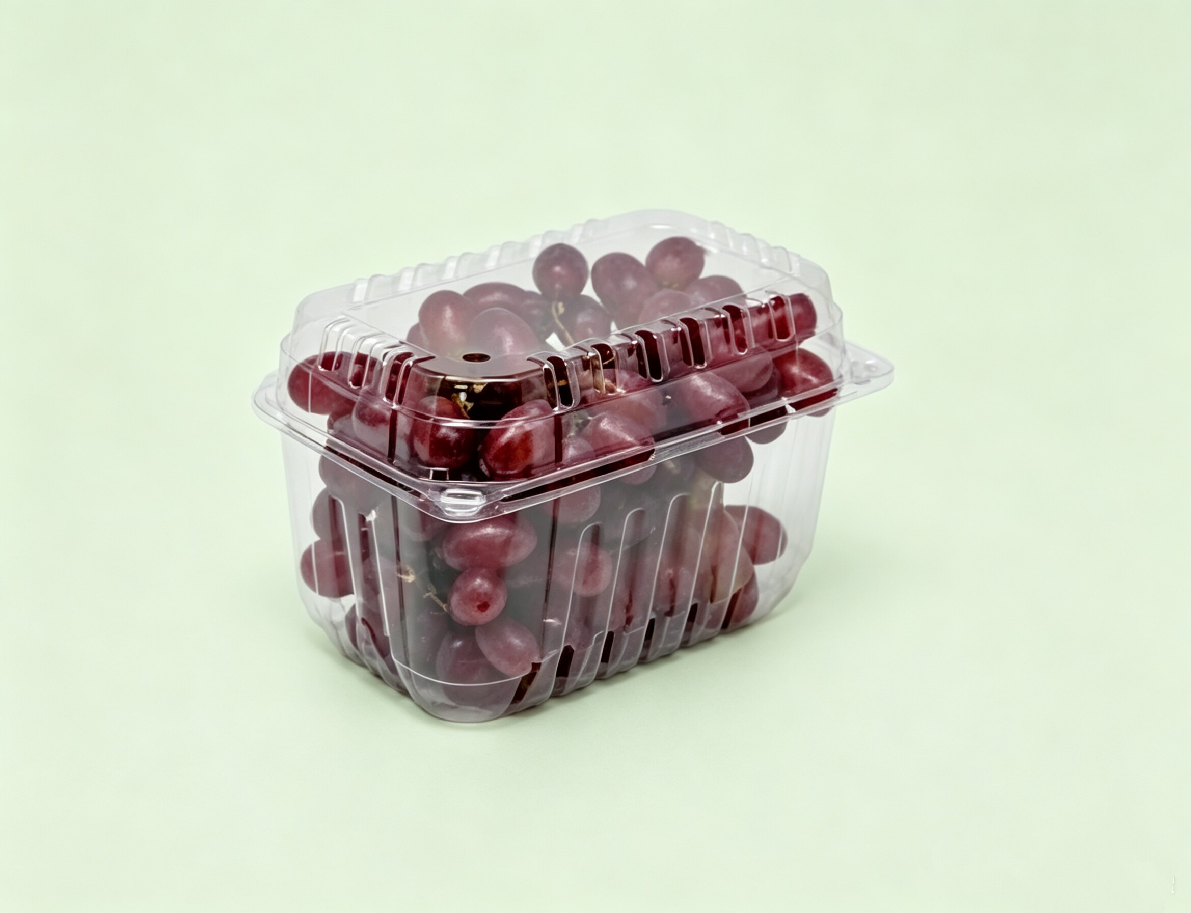1.5L Container package
