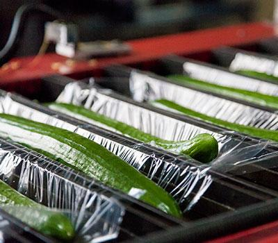 Cucumber Shrink Film