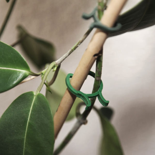C-Clip product