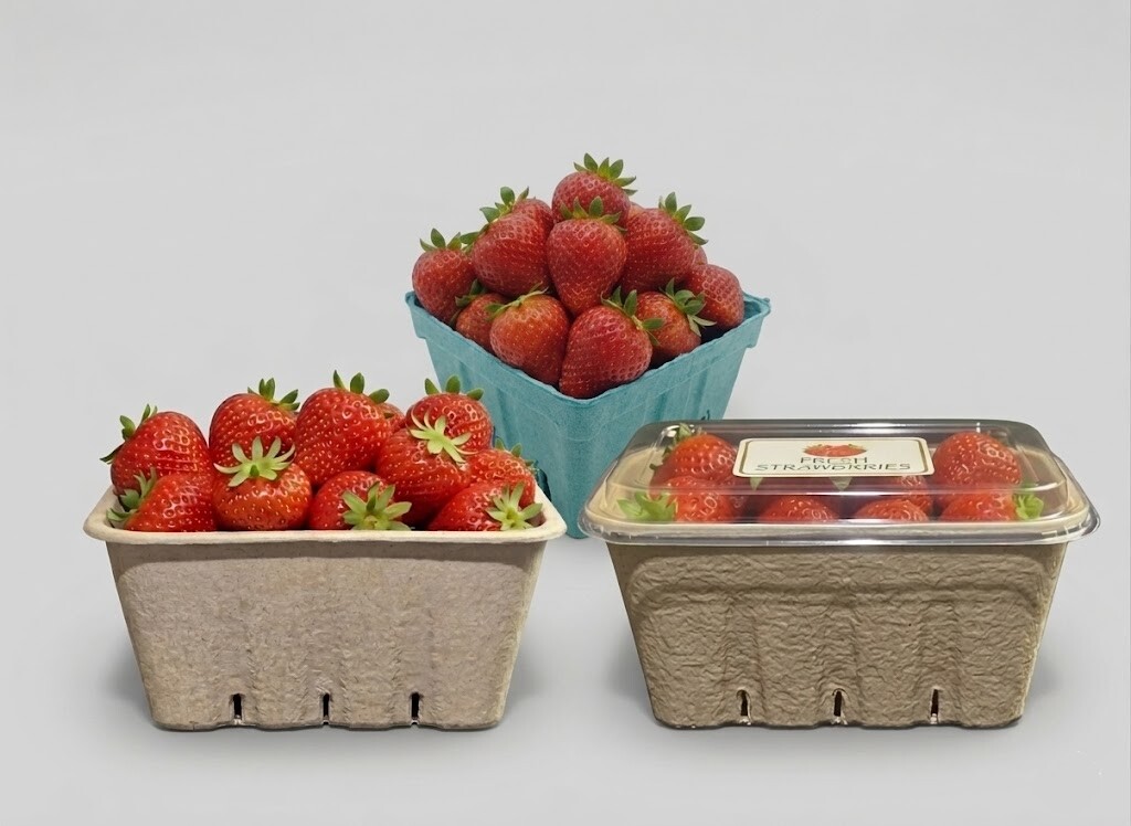 Pulp Tray/Basket