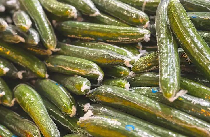 Cucumber Shrink Film