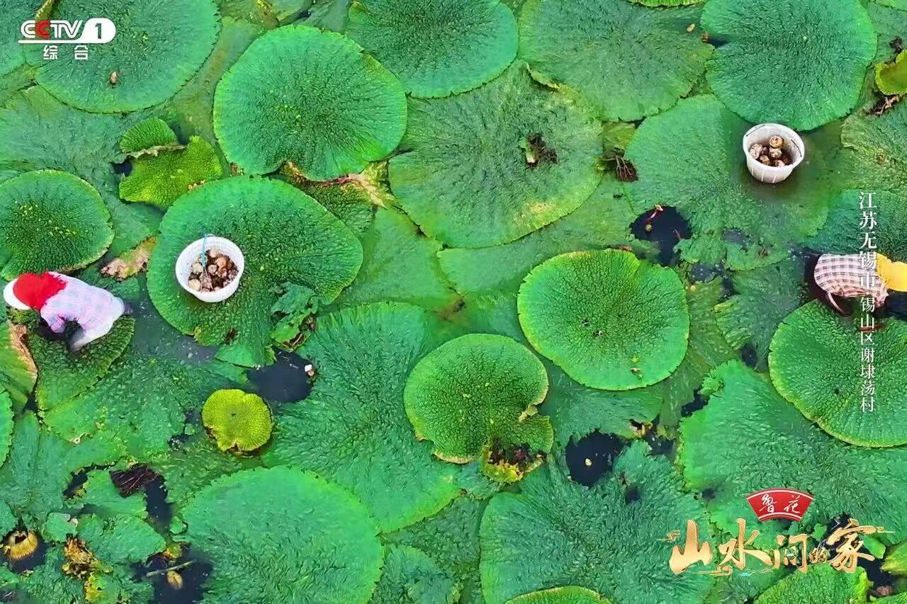 《山水间的家》