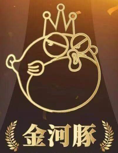 CEIS2025 金河豚奖