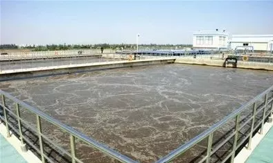 干货｜微生物技术处理污水及优势