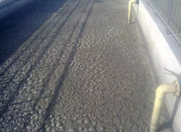 好氧池污泥发黑，你知道原因吗？