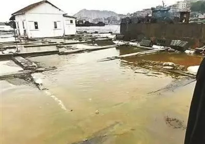 科普！福建泉港区泄漏的碳九是什么？有哪些危害？
