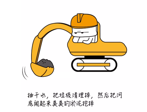 我们习以为常的河道治理也许是生态灾难