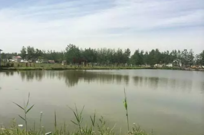 17个农村污水处理技术最强总结