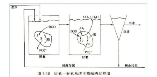 污水磷超标（解决方法）