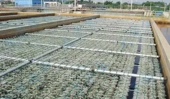污水厂提标面临脱氮除氮问题，怎么改造？这三种方法帮助你！