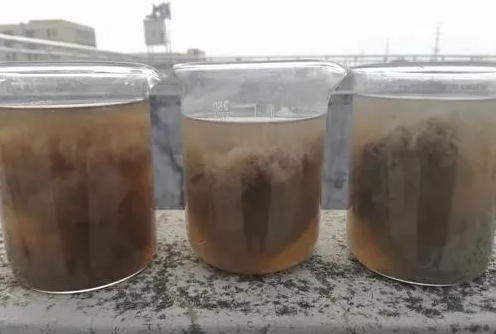 如何判断活性污泥质量好与坏？